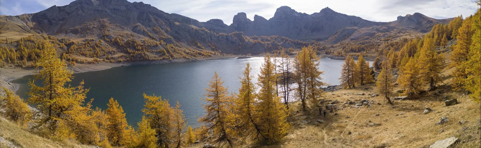Photo de la nature etendue